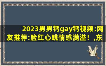 2023男男钙gay钙视频:网友推荐:脸红心跳情感满溢！,东北体育