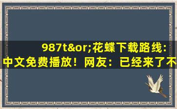 987t∨花蝶下载路线:中文免费播放！网友：已经来了不少
