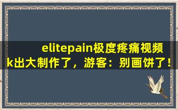 elitepain极度疼痛视频k出大制作了，游客：别画饼了！,elitepain疼痛之轮20VK