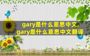 gary是什么意思中文,gary是什么意思中文翻译