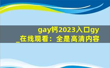 gay钙2023入口gy_在线观看：全是高清内容