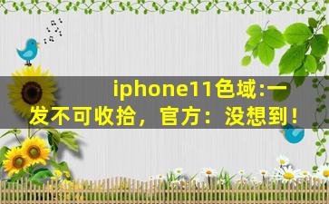 iphone11色域:一发不可收拾，官方：没想到！