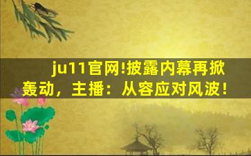 ju11官网!披露内幕再掀轰动，主播：从容应对风波！