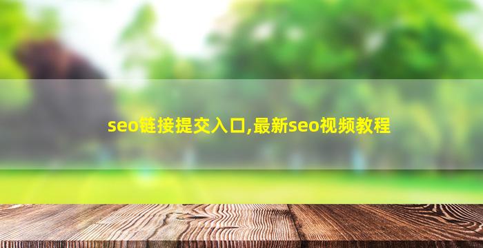 seo链接提交入口,最新seo视频教程