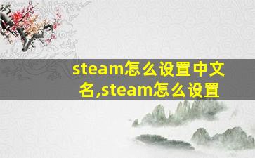 steam怎么设置中文名,steam怎么设置