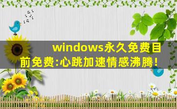 windows永久免费目前免费:心跳加速情感沸腾！