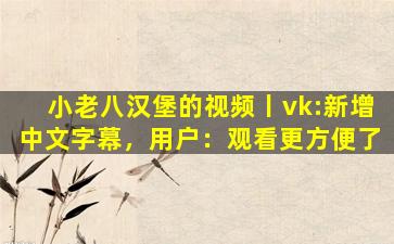 小老八汉堡的视频丨vk:新增中文字幕，用户：观看更方便了