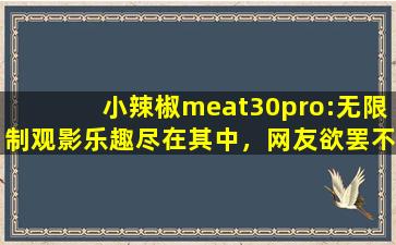 小辣椒meat30pro:无限制观影乐趣尽在其中，网友欲罢不能！