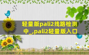 轻量版pali2线路检测中_,pali2轻量版入口